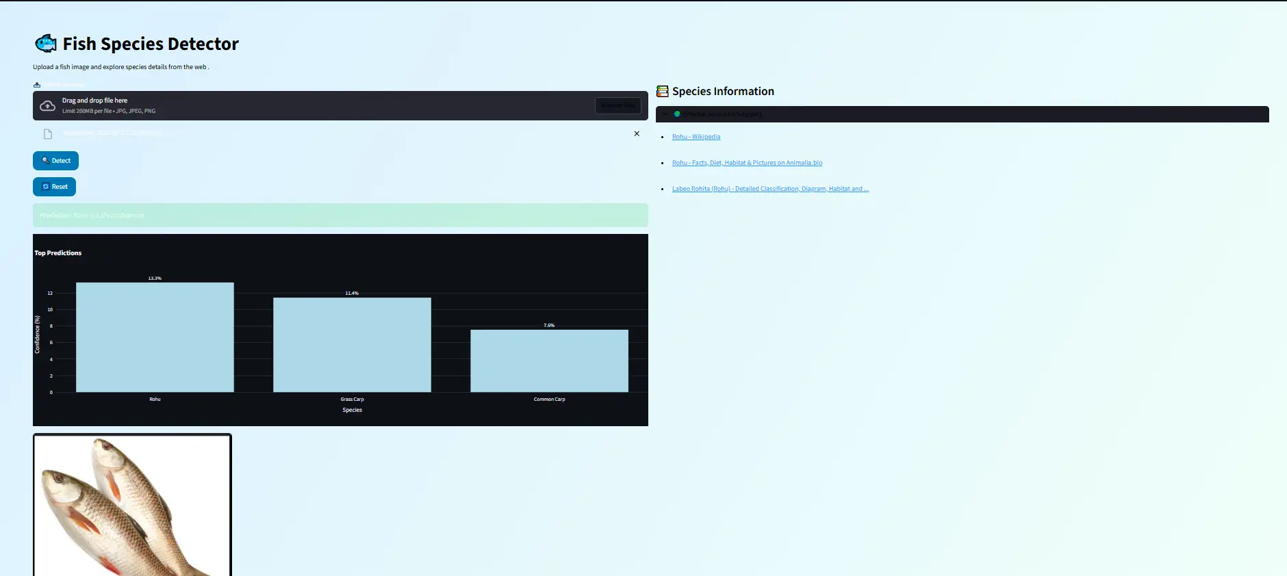 Fish Detection Streamlit App
