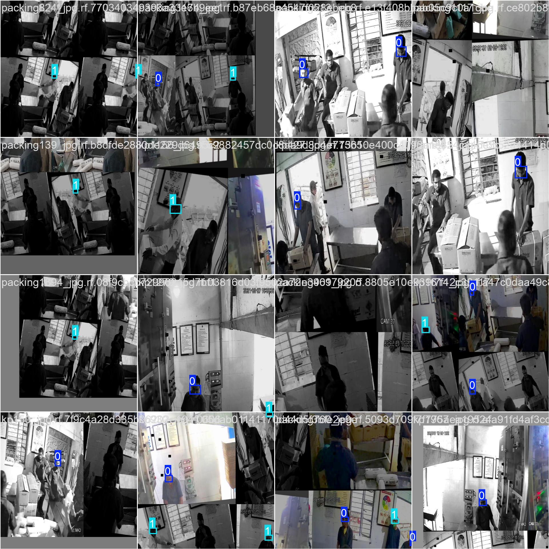 Eye Protection Detection