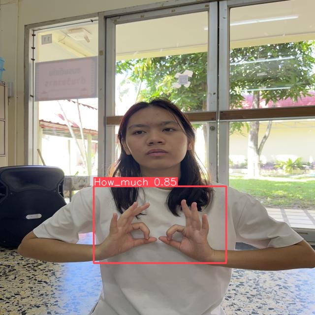 Sign Language Tracking Output