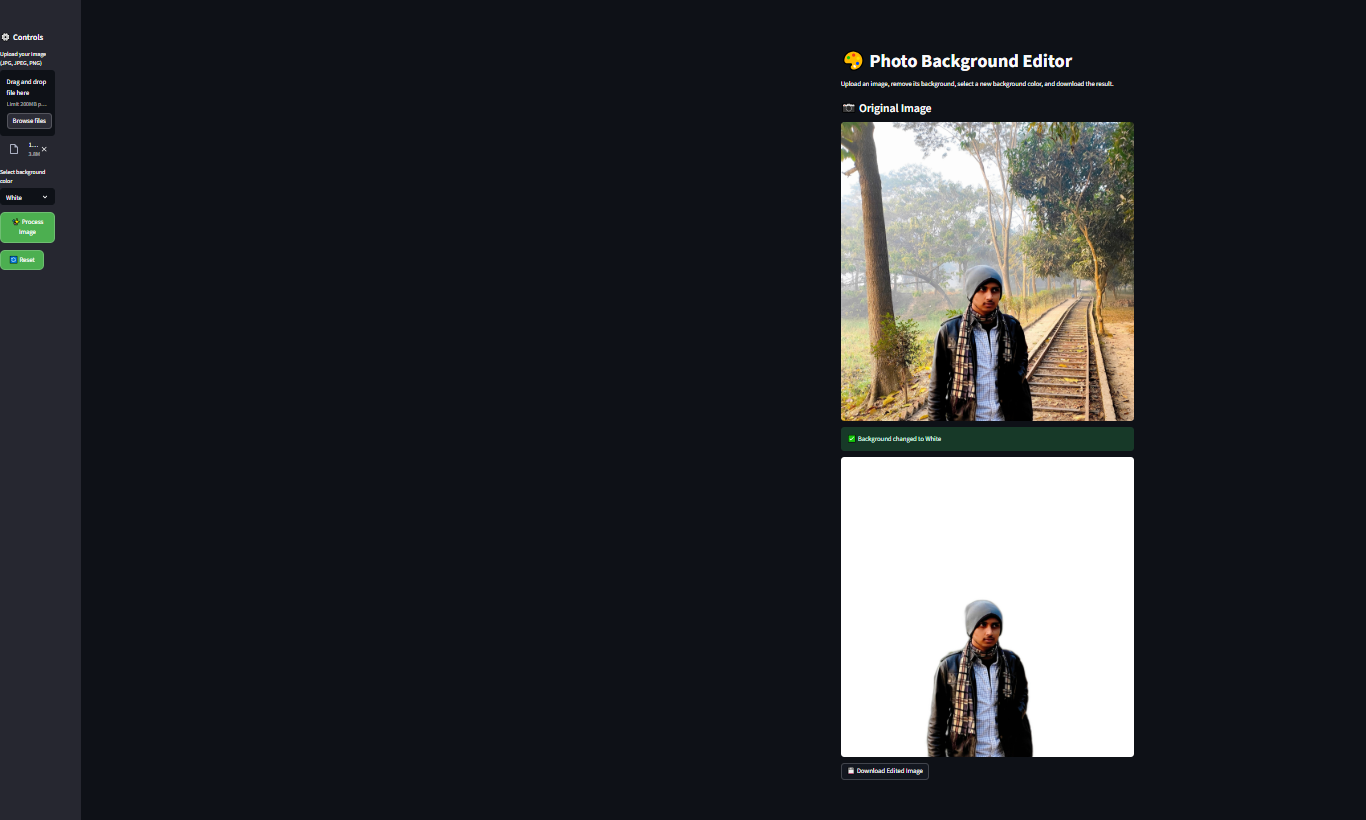 Background Removal Result